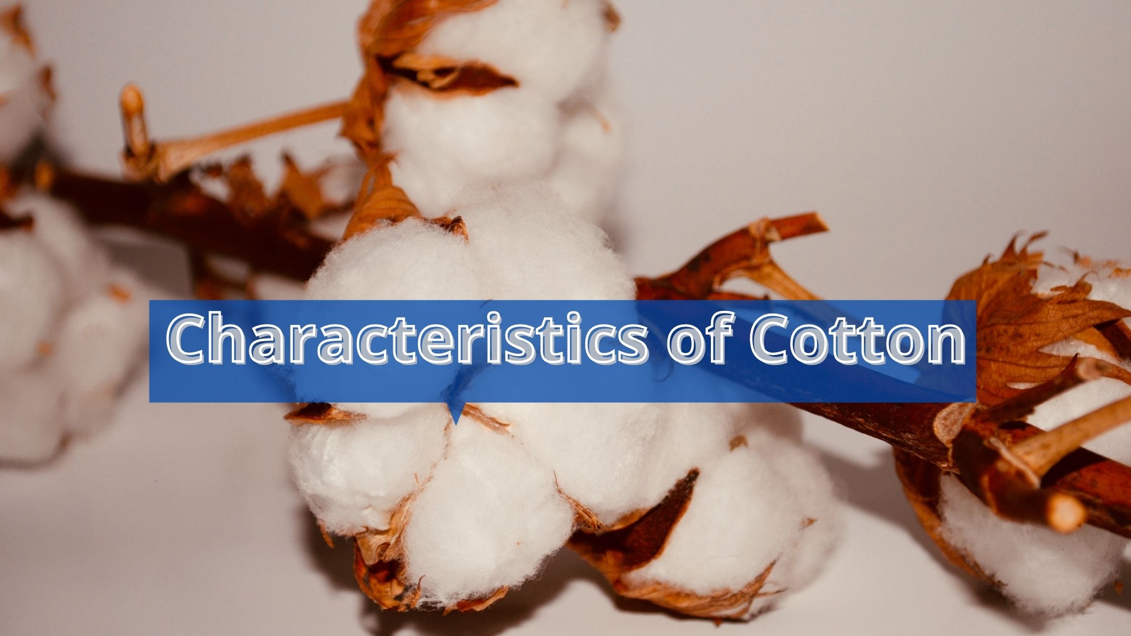 Characteristics of cotton